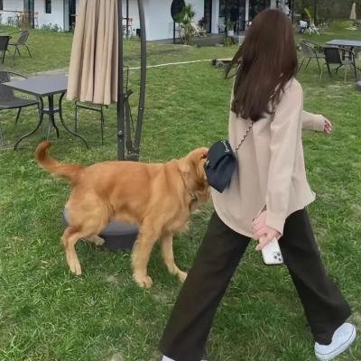 费尔迪杜凯